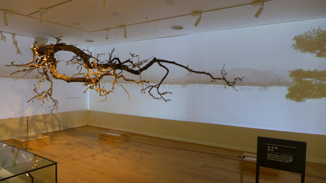 한국궁중꽃박물관의 밀랍으로 만든 매화 ‘윤회매’ 설치작품.