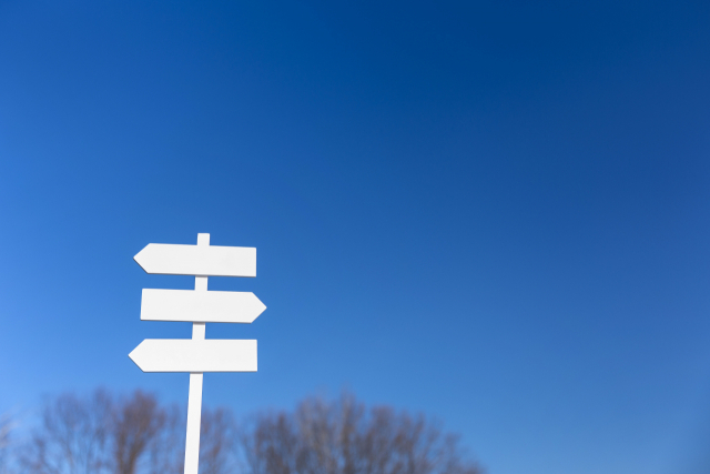 위부터 차례로 경남 양산 법기수원지의 개잎갈나무 길과 한국궁중꽃박물관의 밀랍으로 만든 매화 ‘윤회매’ 설치작품, 임경대에서 바라본 낙동강의 낙조.