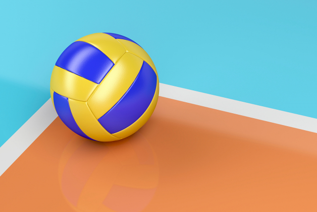 배구. 부산일보DB