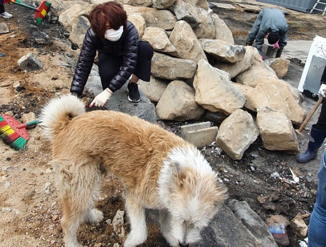 팅커벨 프로젝트 공식 카페에 올라온 한정애 장관의 모습