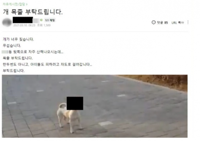 온라인 커뮤니티 캡처