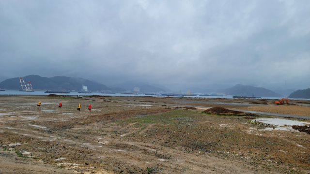 마산해양신도시 내 대규모 꽃단지가 들어설 부지에 꽃씨 파종 작업이 한창이다. 창원시 제공