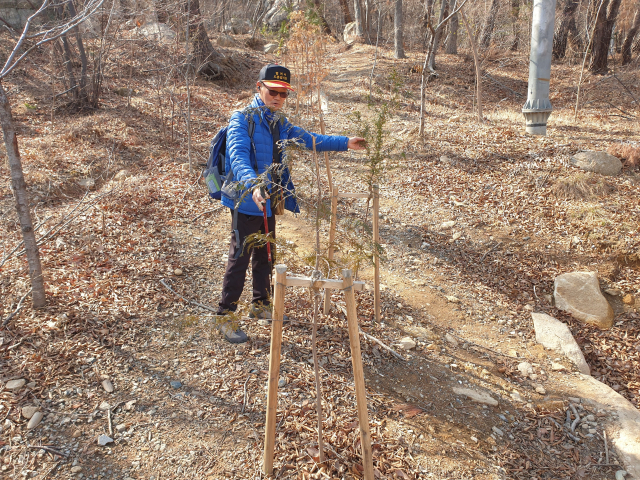 금정구청이 그린벨트 보호를 위해 심은 묘목. 유 국장은 나무를 보며 당시 '투쟁'하던 추억에 잠겼다.