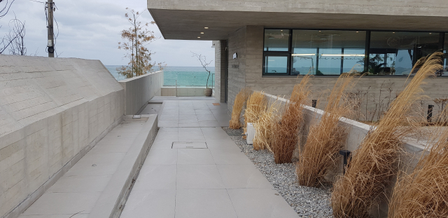 주차장에서 카페와 마을로 이어주는 계단 진입 부분 역시 멋진 포토존으로 손색없다. 정달식 선임기자