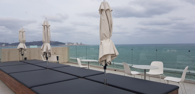 카페 ‘메이크 시 커피’ 옥상 모습. 정달식 선임기자