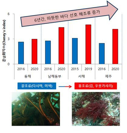 해역별 해조류의 지리적 분포 양상. 해수부 제공