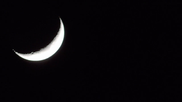 제38회 부산국제단편영화제 개막작 ‘로스트 온 어라이벌’ 스틸컷. BISFF 제공