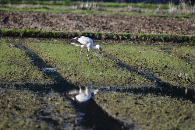 사진 제공 = 봉하문고리