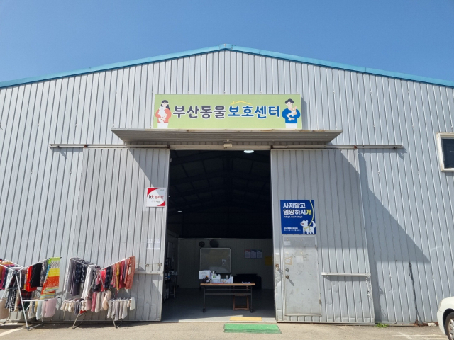 부산동물보호센터의 고양이 방(위)과 센터 전경 모습.