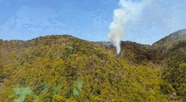 경남 양산시 원동면 오봉산 산불 현장. 산림청 제공