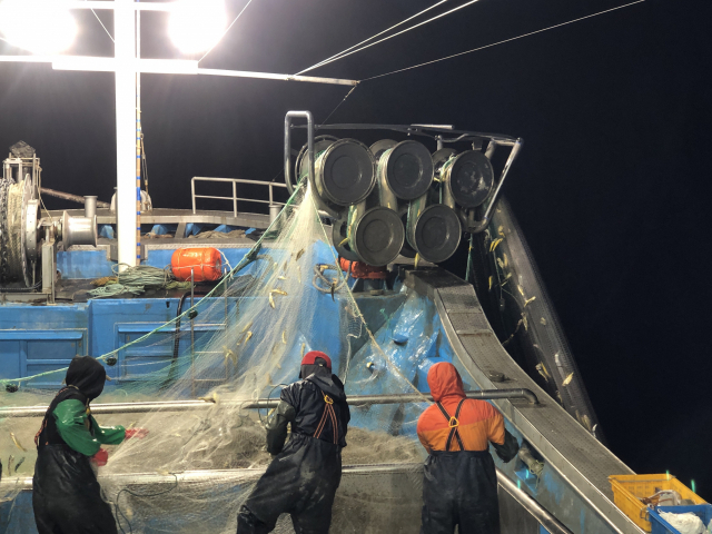 생분해성 그물의 성능이 향상되며 어민들이 찾는 빈도가 늘었다. 생분해성 그물을 성능 검사하는 모습. 국립수산과학원 제공