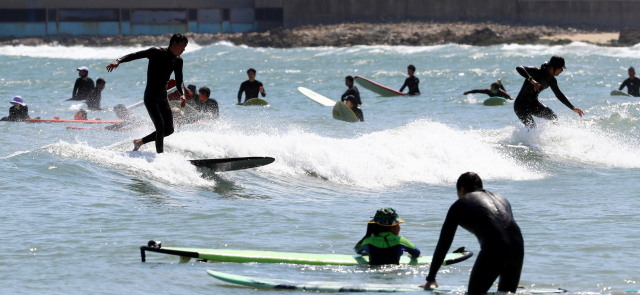 올해 4월 부산 해운대구 송정해수욕장에서 서퍼들이 파도를 타고 있는 모습. 부산일보 DB
