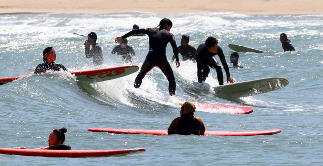 올해 4월 부산 해운대구 송정해수욕장에서 서퍼들이 파도를 타고 있는 모습. 부산일보 DB