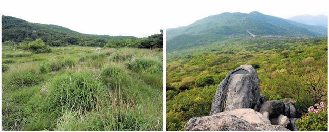 금정산을 국립공원으로 지정할지를 판단하기 위한 생태조사가 지난 13일부터 사흘간 진행됐다. 금정산 장군습지(왼쪽)와 금샘. 부산일보DB