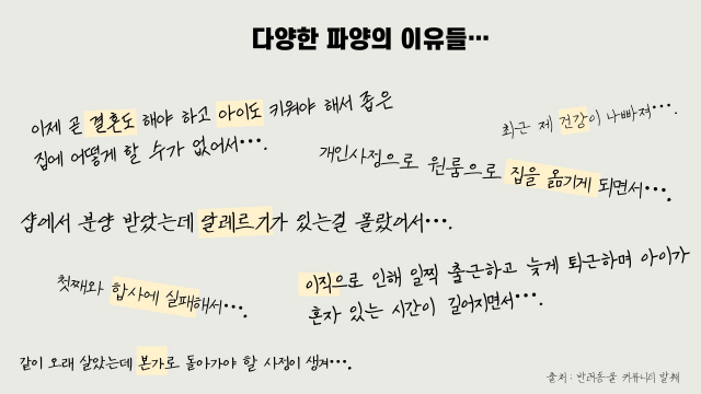 온라인 반려동물 커뮤니티에 올라온 '파양' 게시물에서 파양의 이유를 발췌해봤습니다. 서유리 기자