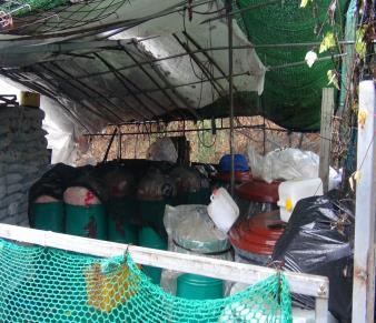 임야 비닐하우스에서 쥐, 고양이 등에 무방비로 노출된 새우젓. 부산시 제공