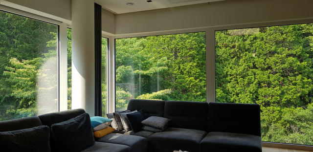 통창을 통해 편백 숲을 볼 수 있는 ‘여름집’ 거실. 정달식 선임 기자