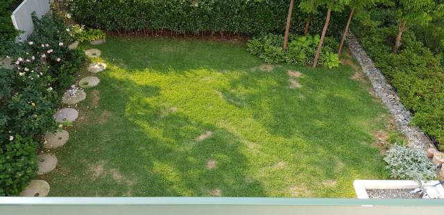 정돈된 느낌의 ‘여름집’ 뒷마당. 정달식 선임기자