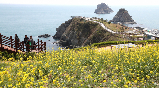 부산시가 기존 700리(275㎞)를 정비하고, 새로 도심 속 300리(120㎞)를 조성하는 '1000리 갈맷길'을 만들기로 했다. 사진은 갈맷길 중 하나인 오륙도 산책로. 부산일보DB
