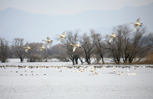 환경부의 생태관광지역으로 선정된 창원 주남저수지 전경. 창원시 제공