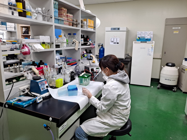 신라대학교가 반려동물 시장의 급성장과 인력 수요 증가에 맞춰 2022학년도 반려동물학과를 신설하고 첫 신입생을 받는다. 신라대학교 제공