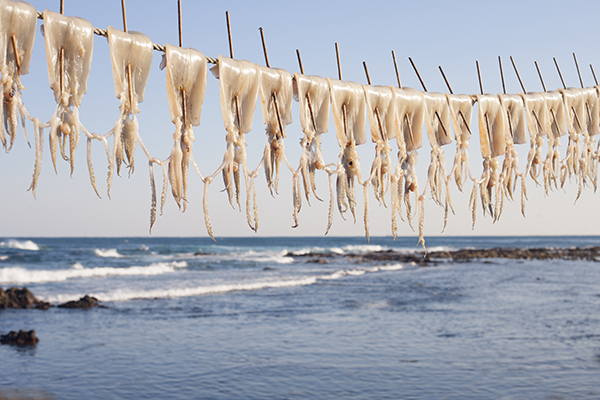 상온에서 햇빛과 바람에 말리는 자연건조법. 부산일보DB
