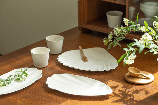 대통령 표창을 받은 마린이노베이션의 해조류 접시와 종이컵. 마린이노베이션 제공