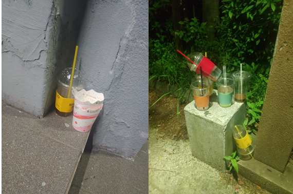 필자가 '혼플로깅'을 하며 찍은 사진.