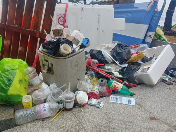 필자가 '혼플로깅'을 하며 찍은 사진.