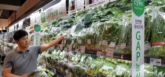 10월부터는 수입 배추김치에 대해서도 식품안전관리인증기준(해썹·HACCP)을 단계적으로 적용한다. 연합뉴스