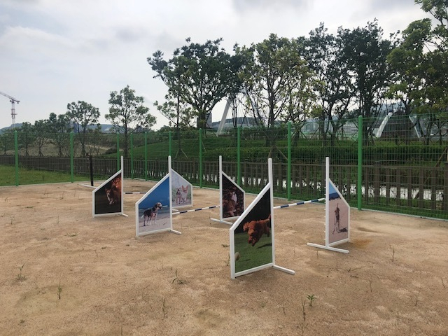 야영장 안에 새로 설치된 반려동물 놀이터. 부산항만공사 제공