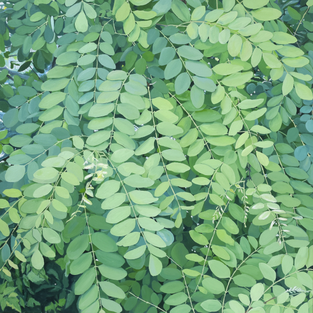 김재현 '아카시아16'. 성원아트갤러리 제공