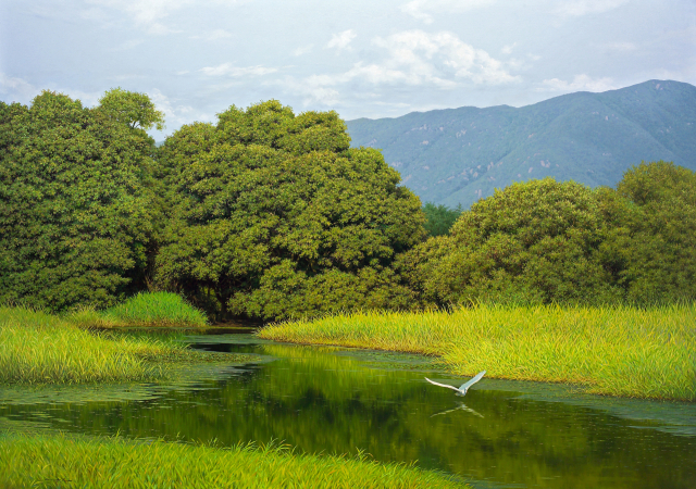 안정환 '고요한 호수'. 유진화랑 제공