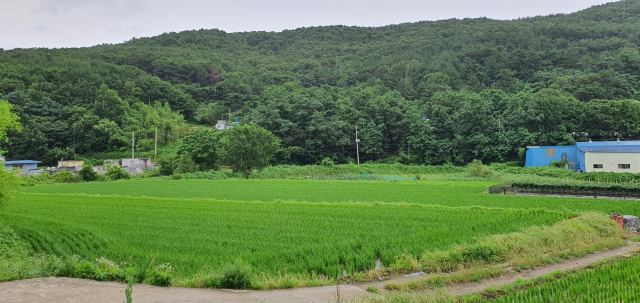 2026년까지 조성되는 주남산단 예정지 전경. 김태권 기자