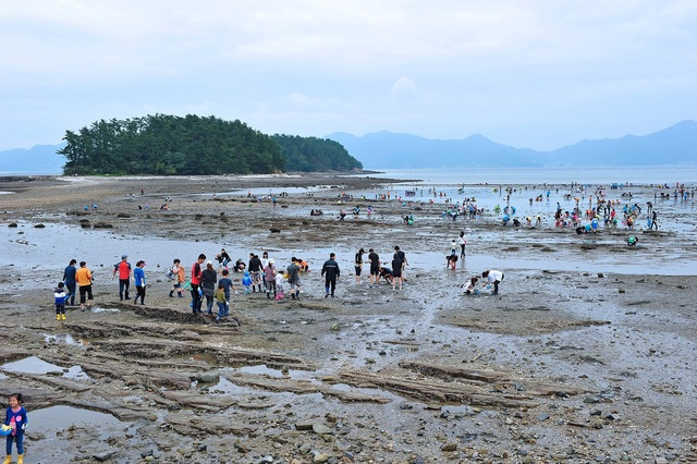 우리나라 갯벌의 탄소 흡수 역할이 과학적으로 규명됐다. 경남 남해군 설천면 문항마을에서 관광객들이 갯벌체험을 하고 있다. 부산일보DB