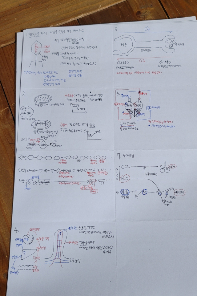 정유엽 군의 가방에서 나온 수업 필기. 유엽 군은 생명공학에 관심이 많았다. 오금아 기자