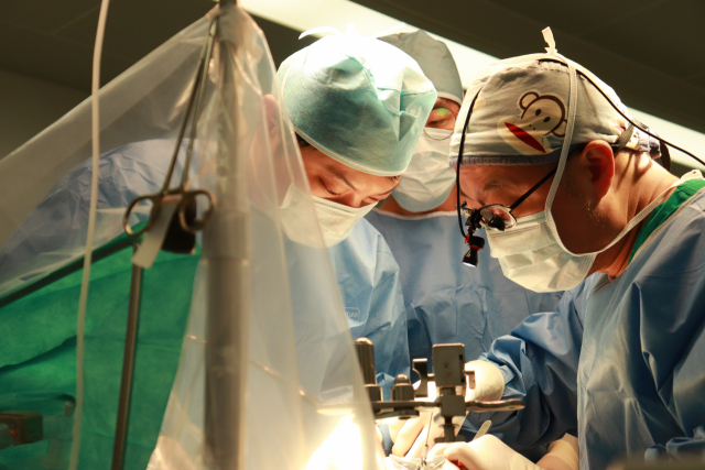 국내 간이식 성적은 세계 최고 수준이다. 좋은강안병원 주종우 과장팀은 생체 간이식 성공률 100%를 기록하며 서울 메이저병원과 어깨를 나란히 하고 있다. 좋은강안병원 제공