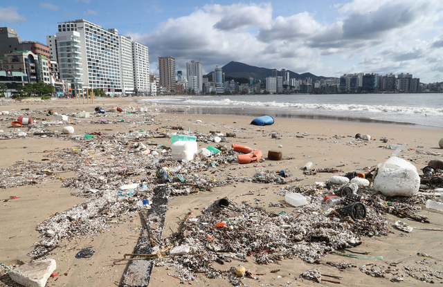 지난해 9월 태풍 '마이삭'으로 수영구 광안리해수욕장 백사장에 쓰레기들이 밀려와 있다. 부산일보DB
