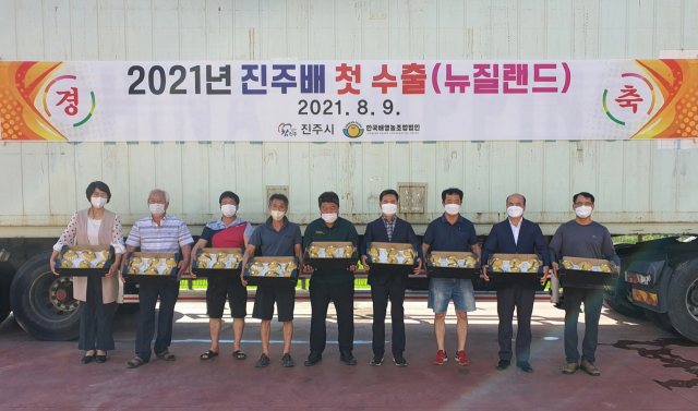 9일 진주시 문산읍 한국배영농조합 선별장에서 진주배가 뉴질랜드에 올해 첫 수출선적됐다. 진주시 제공