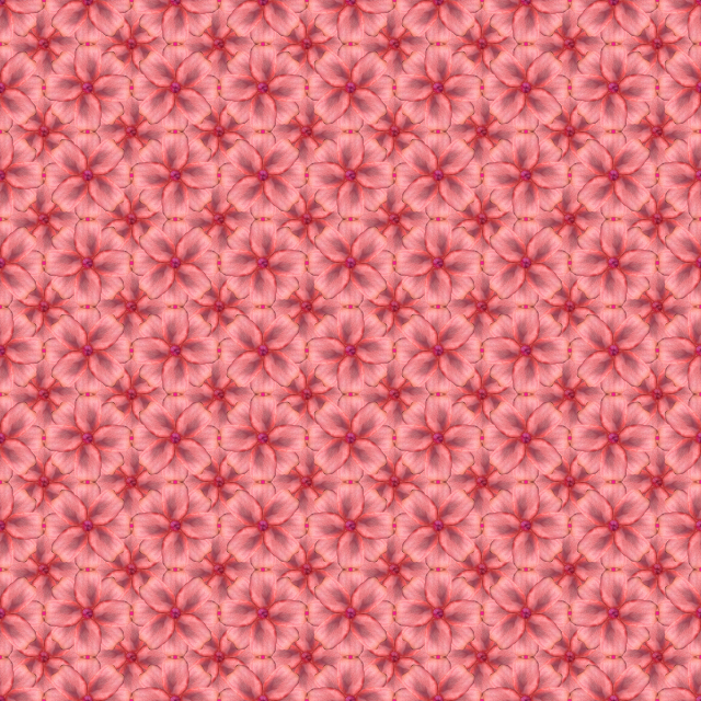 이중근 '혀꽃'. 고은사진미술관 제공