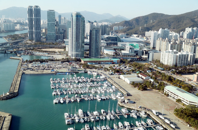 부산 해운대 수영만 요트경기장 전경 수영만 요트경기장. 부산일보DB