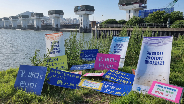 낙동강 하굿둑 수문 개방으로 방류량이 늘면서 을숙대 일대를 찾는 고니가 크게 늘어났다는 조사 결과가 나왔다. 사진은 낙동강 하굿 생태계 복원을 촉구하는 캠페인 모습. 부산일보DB