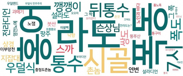지난 1년간 네이버 뉴스의 지방혐오 댓글 2만 3589건을 분석해 워드 클라우드로 표현했다. 청록색이 전라도, 붉은색이 경상도, 노란색이 지역 전체, 검은색이 서울·경기·충청·강원 등 기타지역.