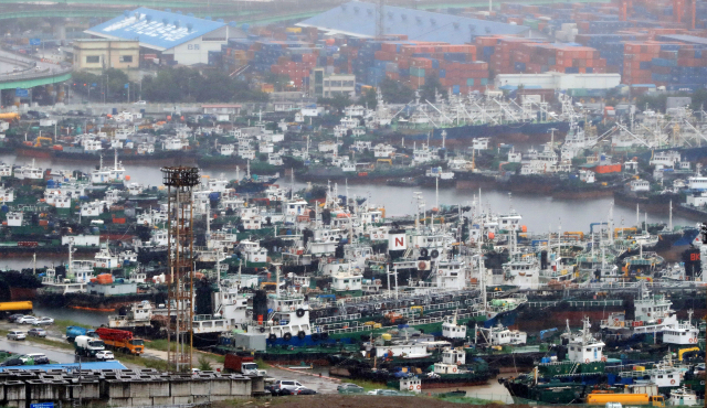 제12호 태풍 '오마이스'가 한반도를 향해 북상하는 가운데 23일 오후 부산항 관공선부두에 선박들이 피항해있다. 김경현 기자 view@
