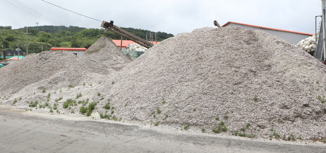 사진은 경남 통영시 용남면의 한 굴 패각 처리업체 야적장에 미처리된 굴 패각(껍데기)가 모래성처럼 쌓여 있는 모습. 부산일보DB