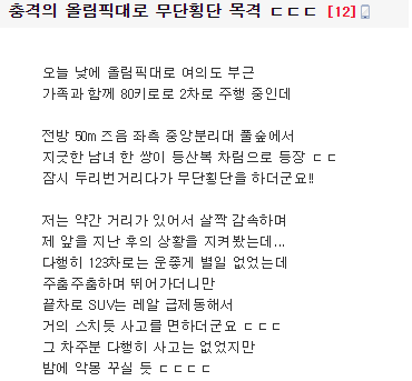 앞서 B씨가 올린 올림픽대로 무단횡단 목격담