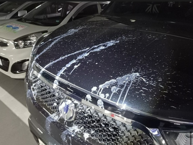 차량에 뿌려진 흰색 오물. 독자 제공