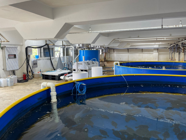 (주)은하수산이 경남 고성에 만든 순환여과식 광어 양식 장비로 지속가능한 방식으로 키운 수산물을 인증하는 ASC 인증 획득에 도전한다. 순환여과식은 육상에서도 양식이 가능해 외부 환경 변화에 자유롭다. (주)은하수산 제공