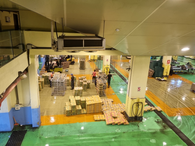 제주도 한림수협의 위판장은 15도 저온을 유지할 수 있는 냉방장비가 마련되어 신선한 수산물의 품질을 담보한다. 장병진 기자