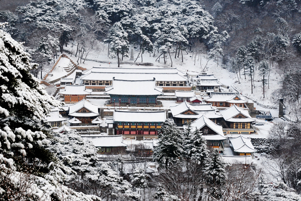 법보종찰 해인사가 개산(開山) 1219주년을 기념해 법회와 문화행사 등 개산대재를 개최한다. 부산일보 DB